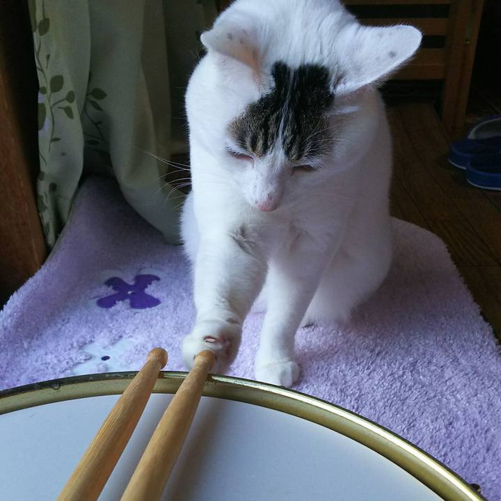 67b8e2b4 42f8 422c bfb4 fc8ab936a106 1514972333261