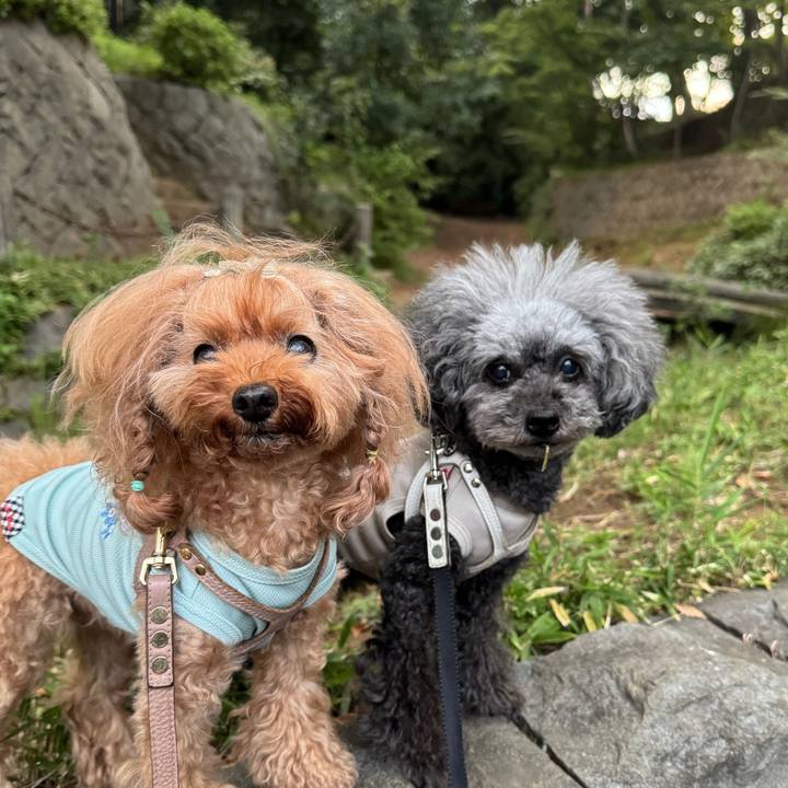 67b8f27c 86fd 4895 9cab 3eea1479634c 1759014171661