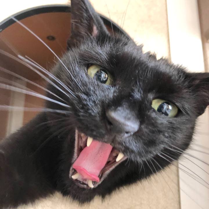 67b8f81a 8f50 42e0 9661 3b21a32ffdc2 1570233670995