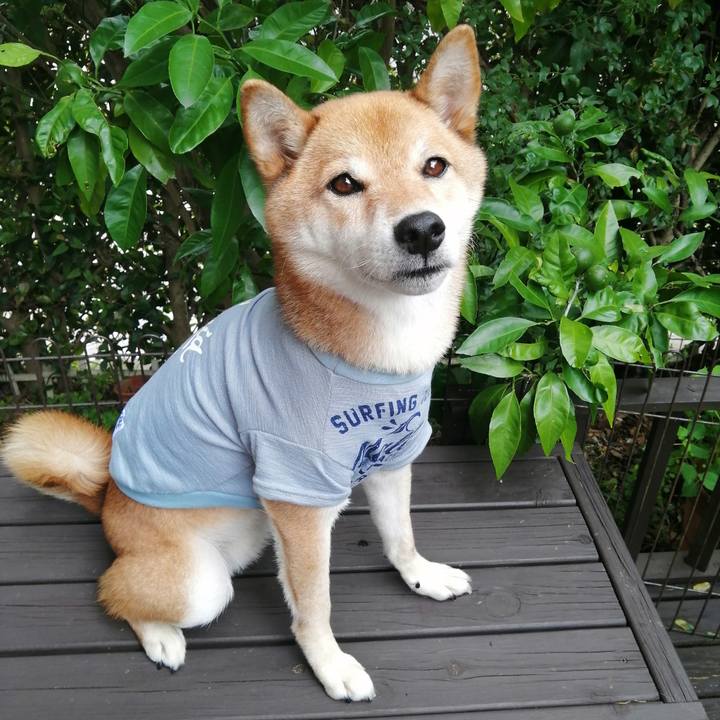 67b9002a 9b90 4fac b474 519e393b67f9 1595758556863