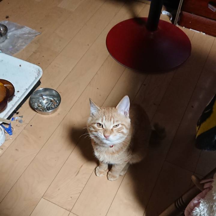 67b9049b cbbe 4b97 b19f e6324a8e8a68 1636402976459