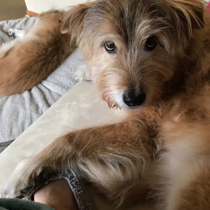 67b90f55 ebd2 4714 af0e a0609fcc5f34 1611703857900