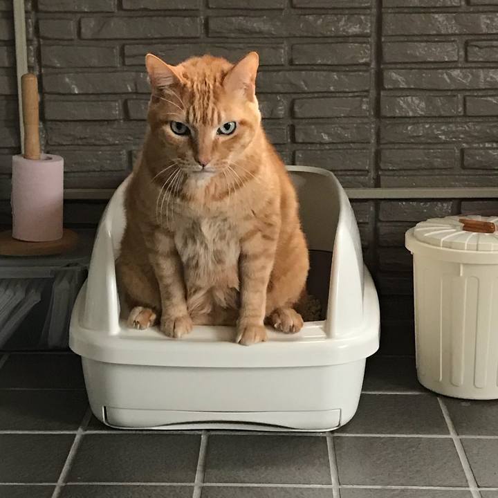 67b92561 35c7 45c4 aff2 2d7367e10945 1518765012390