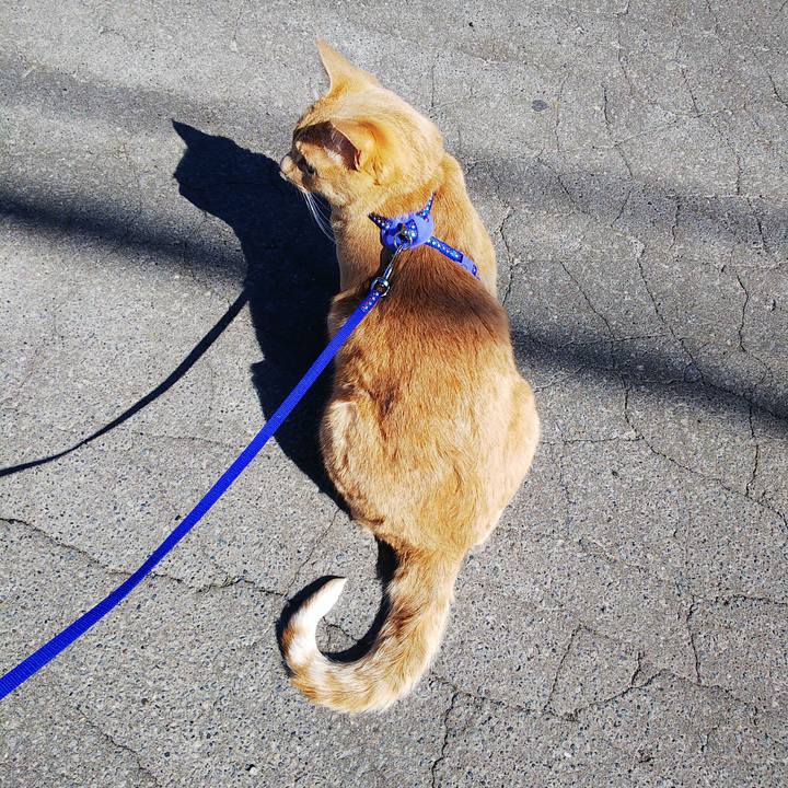 67b92c50 0afe 48ee ad82 7661629e0fbe 1590046327315