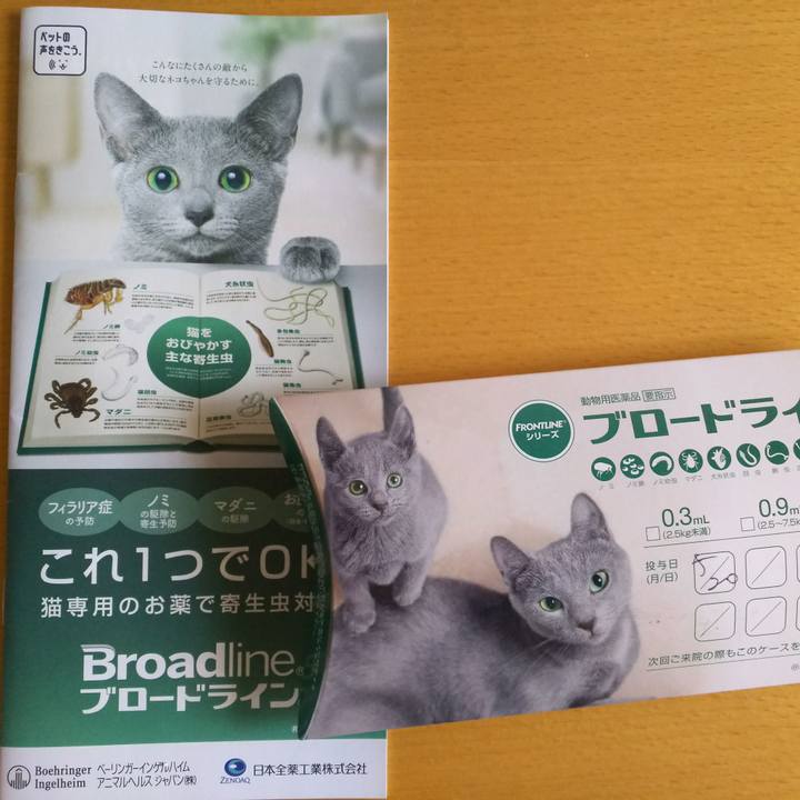 67b95760 5859 450a 9d93 ec2494ada111 1558409671594