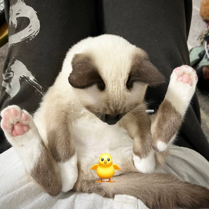 67b95a4a 6cc7 4273 9c61 fe1bac2cd5f5 1669372366579