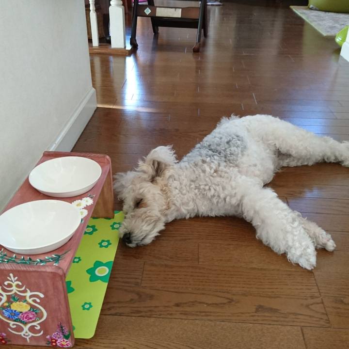 67b997c1 f49b 436e 850c 1030deaf8ec5 1558043634585