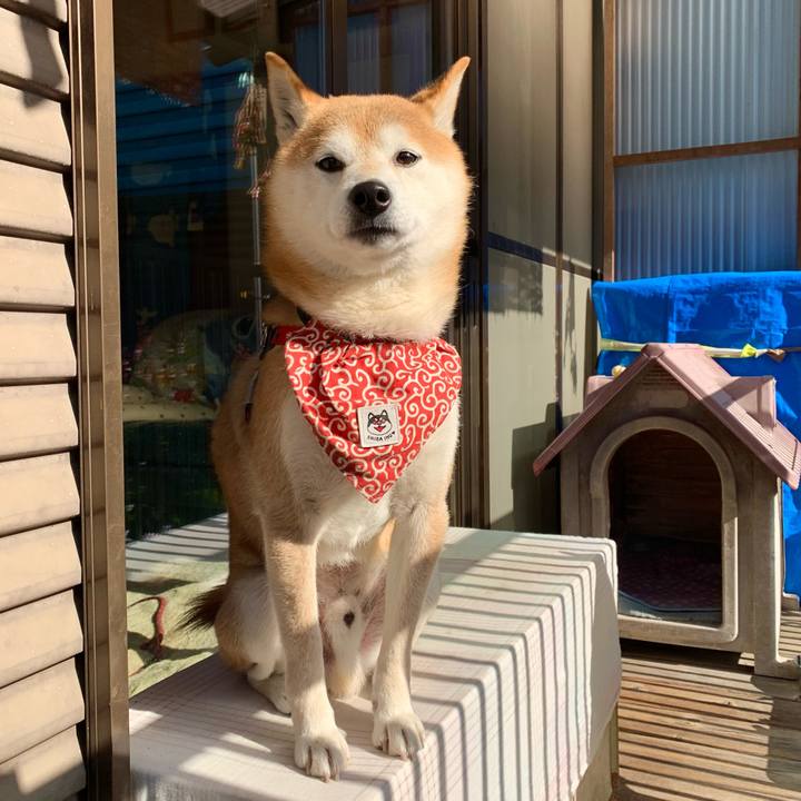 67b9bd72 f70f 44fb a8d2 e123de710d1f 1643792207437