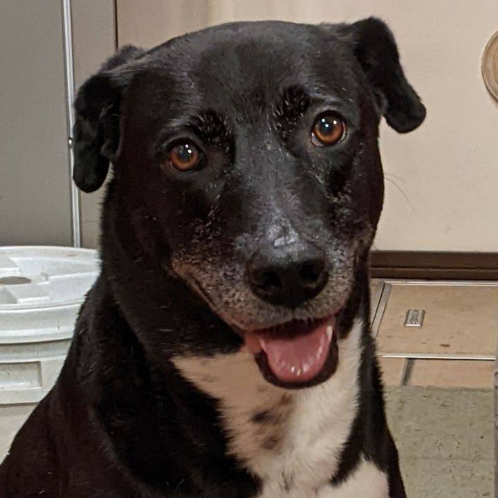 67b9bf5c 6e6c 43c1 b1d4 353e2ff90893 1695121079886