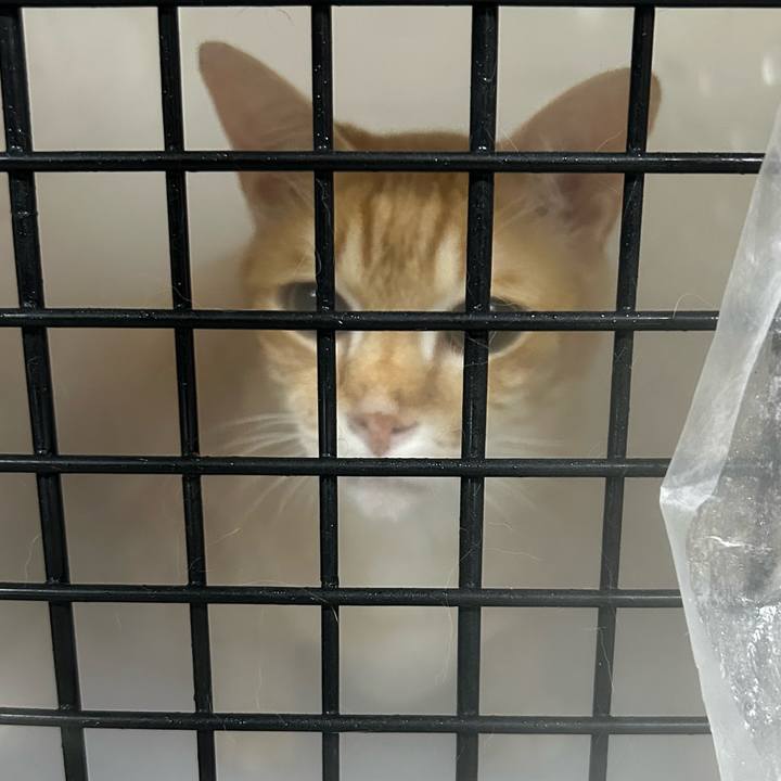 67b9c790 9fc6 498b ac90 fec7e3849c6f 1687687610992