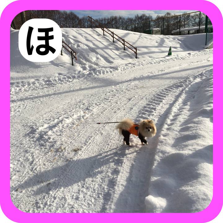 67ba7203 ef42 4865 9326 88d57831ca53 1514799902467