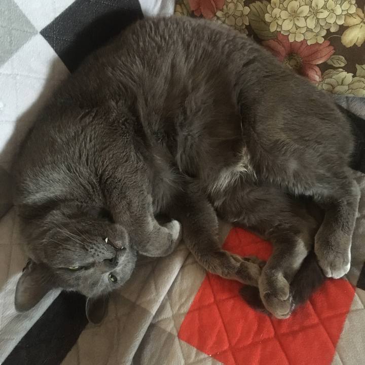 67ba83bc 8fec 4e5f bb15 d4fa22c7689b 1654818298036