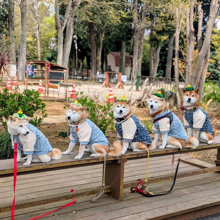 67ba9312 9984 46d5 9ce1 add2c70d6b4a 1744629755253