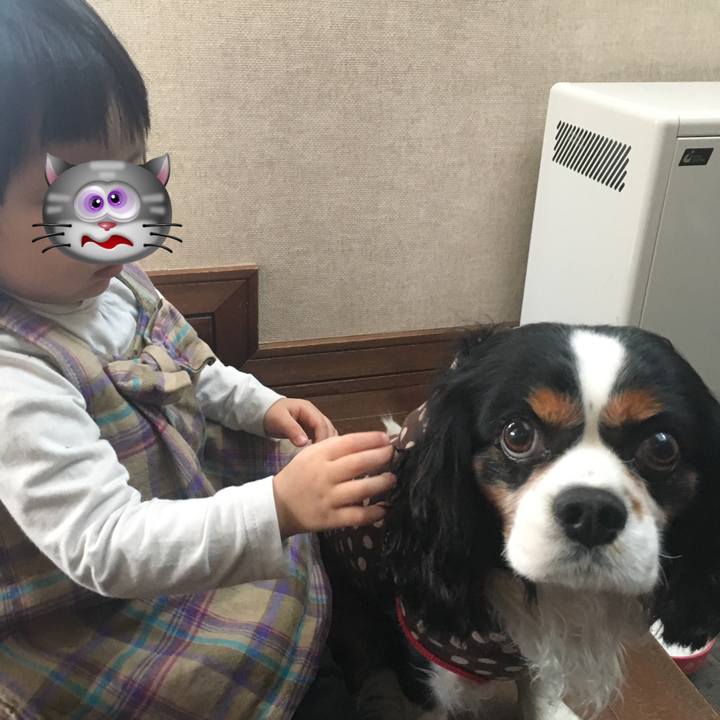 67bac1c2 e50a 4b02 b6c6 84478a70a3a6 1519541792566