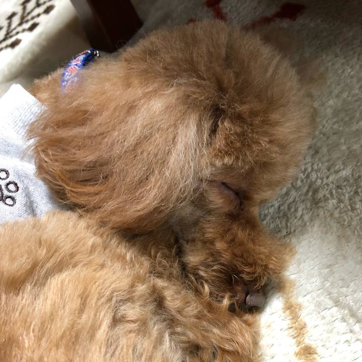 67bae9ae 179e 4f7c a183 46a2bb357db3 1585452210426