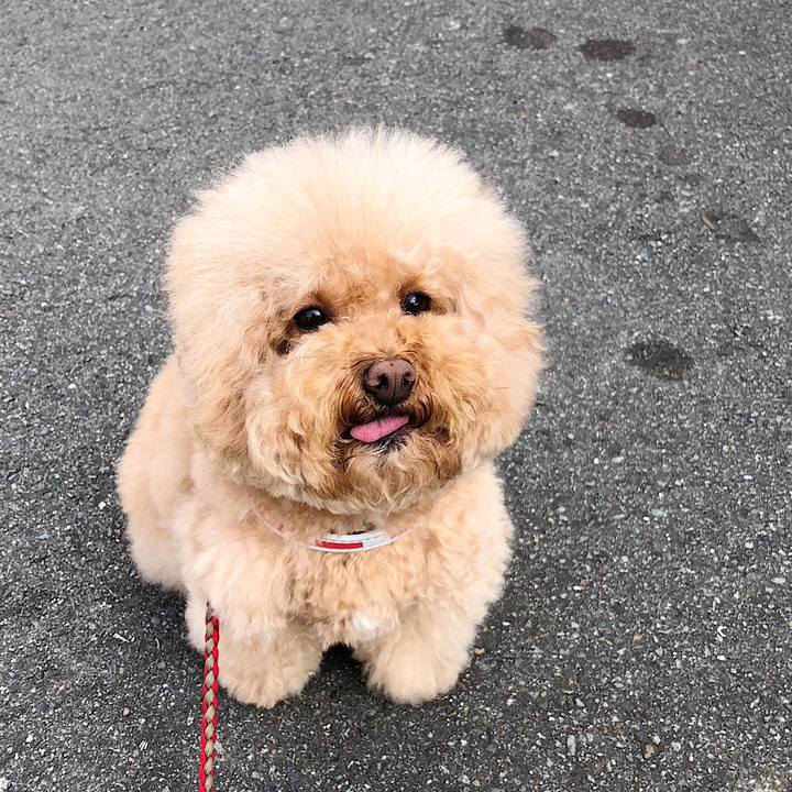 67bb5a25 ffc5 48a4 b463 d5c5fd13b7bf 1516588470564