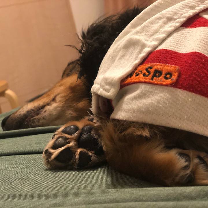 67bba75d d6e1 4cbf 9a38 5841a8e14820 1573431667745