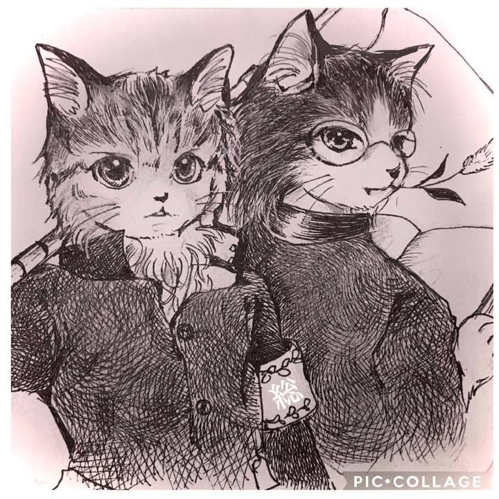 67bbf397 fdd5 48fa aa46 27714cc6bc45 1612857134149