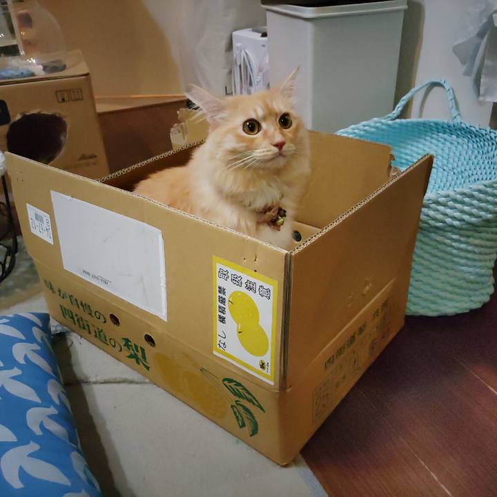 67bbff48 865d 43fa b3cb ddeec996ab76 1692497188887