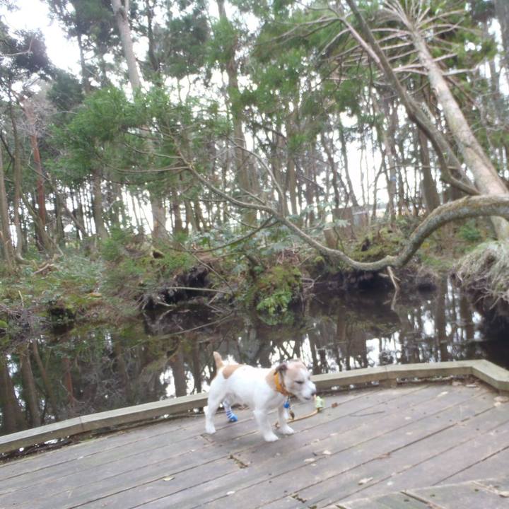 67bc37a3 de5d 406f a18a 80543fde523d 1521379531309