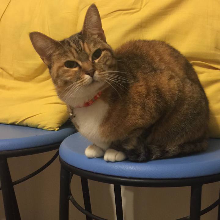 67bc3ab9 87eb 4545 a7d8 9e529f8a6f9e 1550731676358