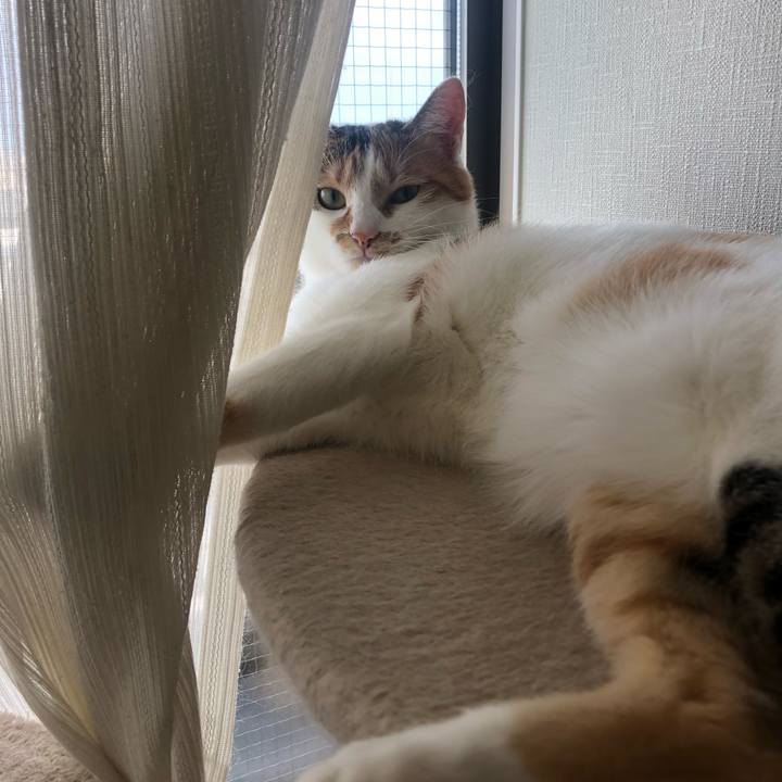 67bc8b79 0c29 4f5a 8e86 062f9fbf546d 1602027462534