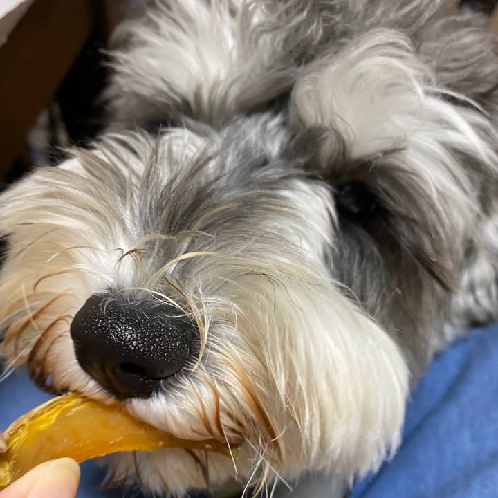 67bca7b4 5f18 4c2e bc80 9b8a27fd3c91 1588937292152