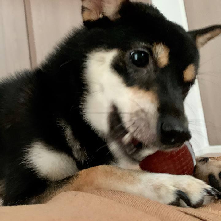 67bcef24 bddd 4c1e 9d9a c18df2a501d4 1572564075576