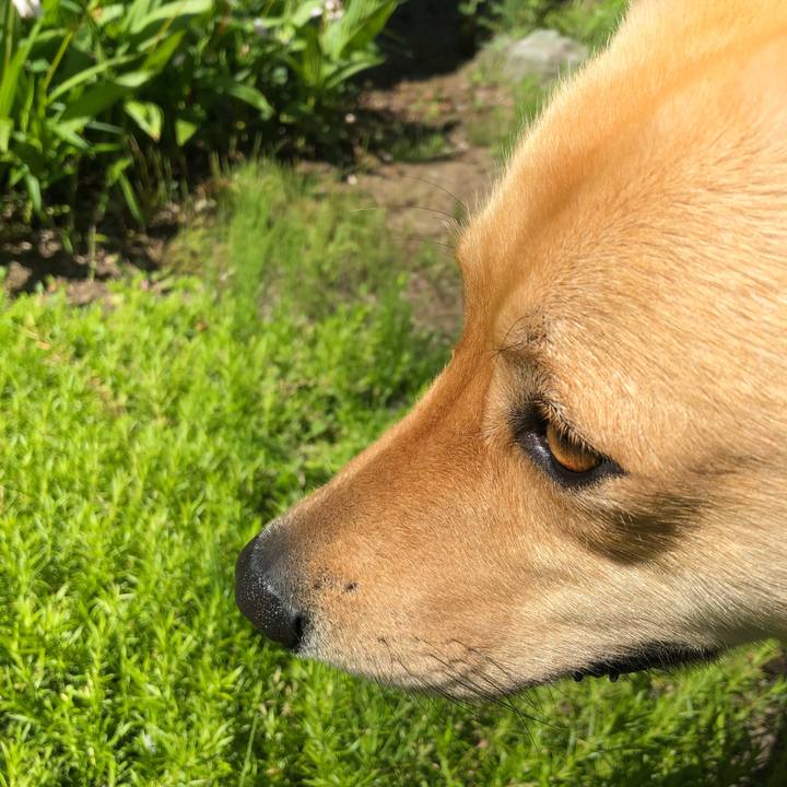 67bd0715 7201 4e1a 9472 968f0e68a7f6 1526776741052