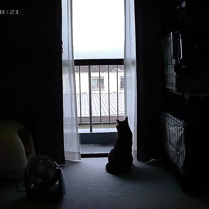 67bd40eb 939c 4ab0 9943 19f412b3bca4 1556147365074