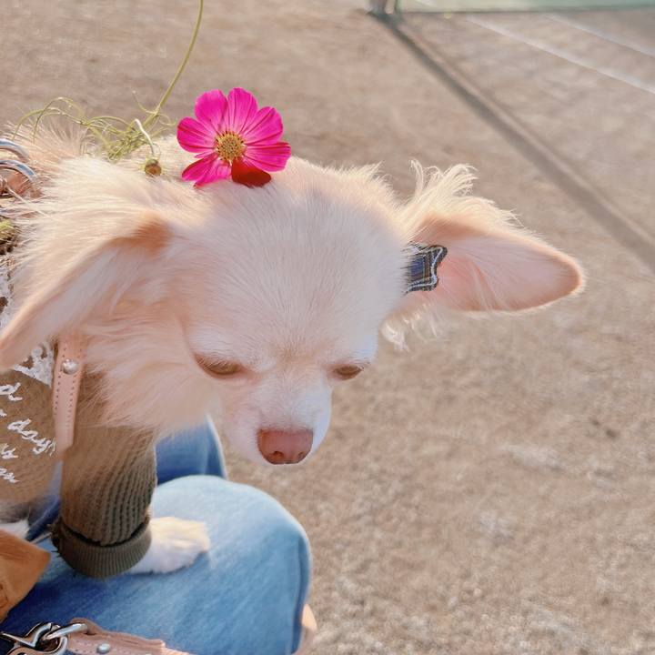 67bd4eb9 eac0 49e1 98a1 97c16fa9e5ea 1666350533618