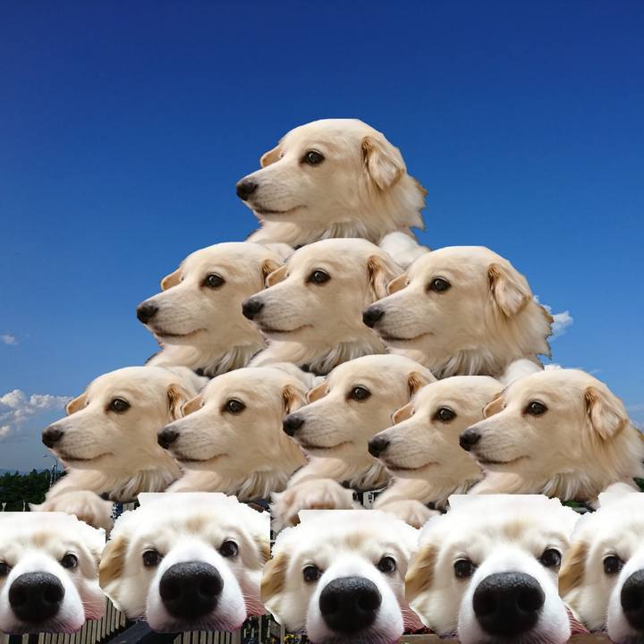 67bd5524 e210 4e54 9fa6 06ae6bf98aed 1549273801690