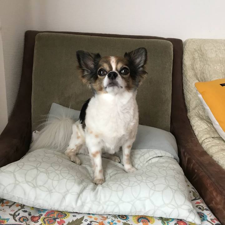 67bd625c 473b 40e6 8859 fbcd602dfecf 1534120924021