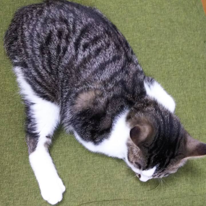 67bd7052 e9d9 4db0 9887 a19b28482636 1615777574526