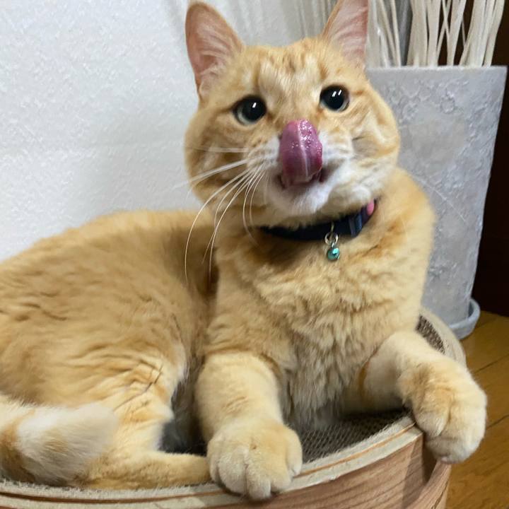 67bd7649 71b9 4076 9f25 b6c7438fce83 1686483052060