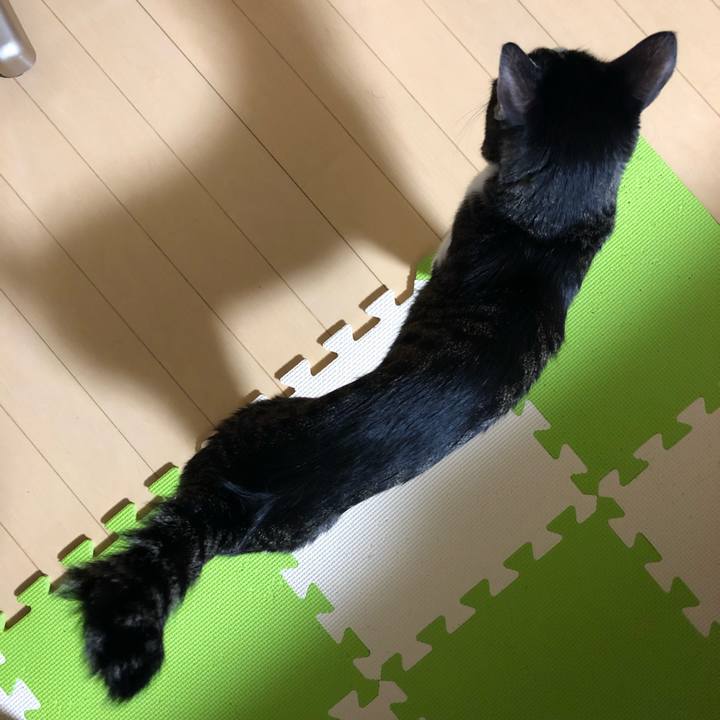 67bd8420 9e42 4488 b402 d7c166c67307 1547471049328