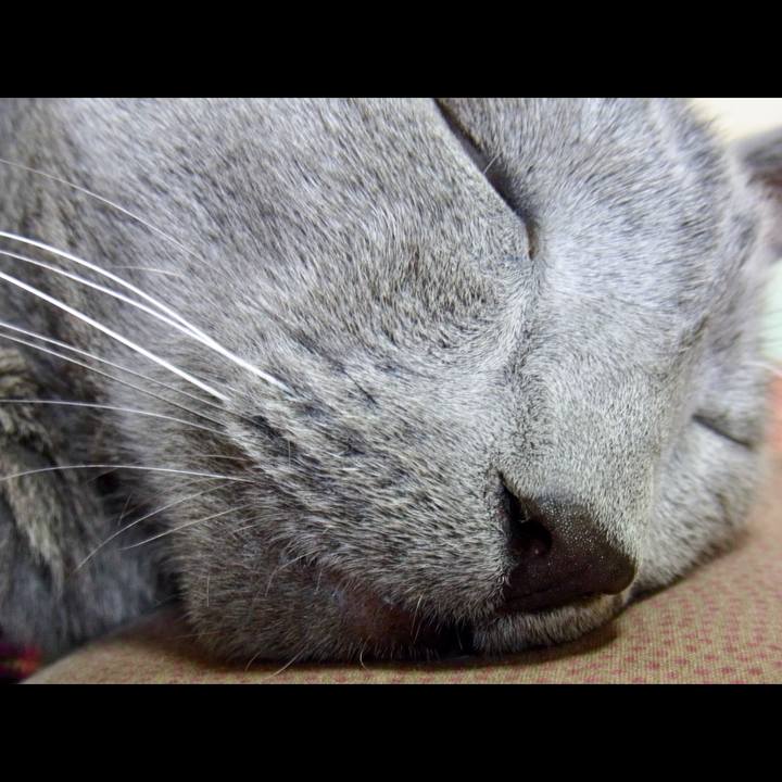 67bd8f1a 6894 4317 923a 059723a9e618 1517057170436