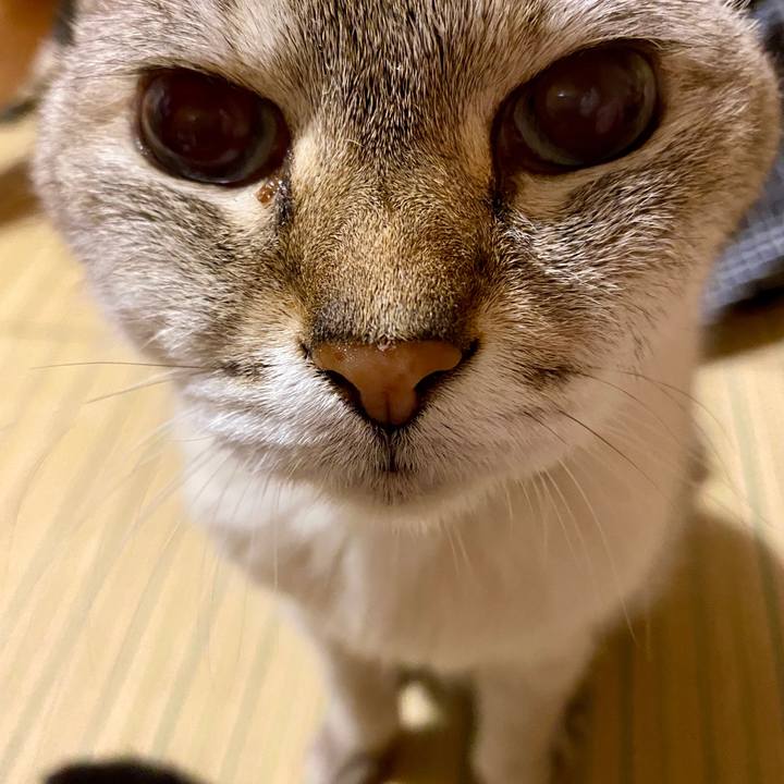 67bdb5e2 39eb 49b9 882e 13223c1ba8ab 1594036268770