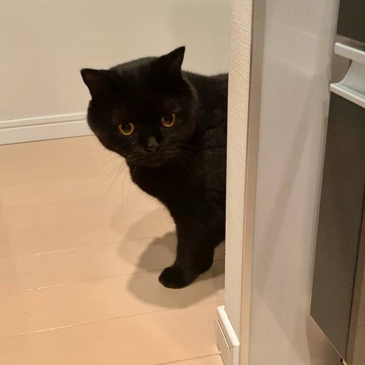 67bdbc57 8731 45b5 8b7c acdd0904c447 1660905962675