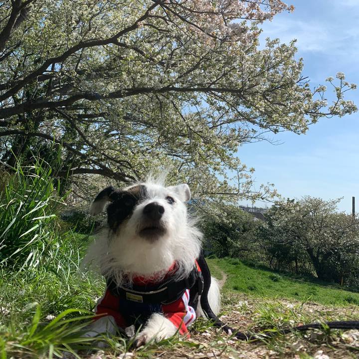 67bdd007 8a82 442b 90bc bc97a0e16932 1712969681881