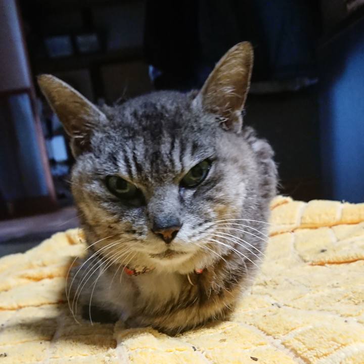 67bdd2f2 b105 4515 bef3 95083c9895b8 1594200963027