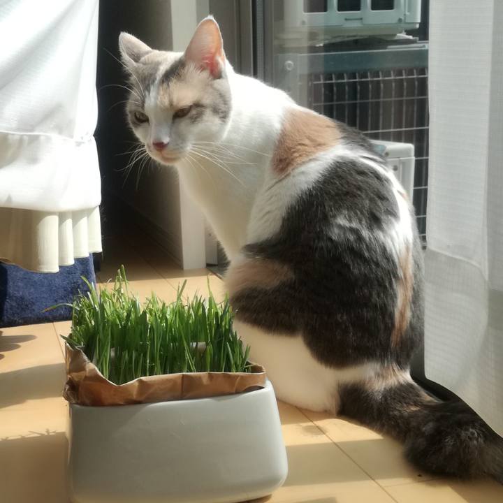 67bdda86 e979 4337 a73b 85391d3374d3 1531966999924