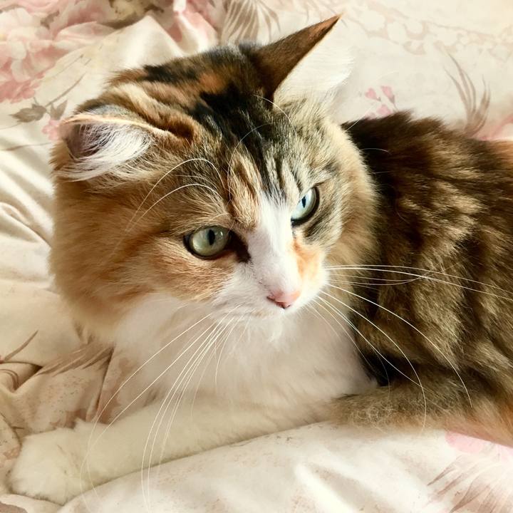 67bdea91 3283 46cd 9425 5e6dc5fa8012 1555192782205