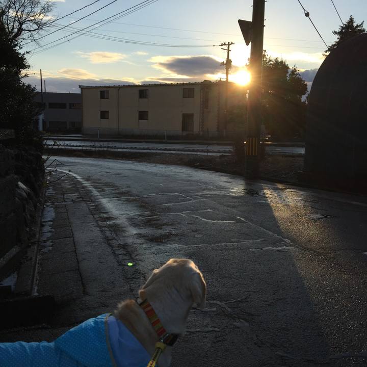 67bdf6d7 6d7a 4d97 8b13 708afa13ecd1 1545173249412