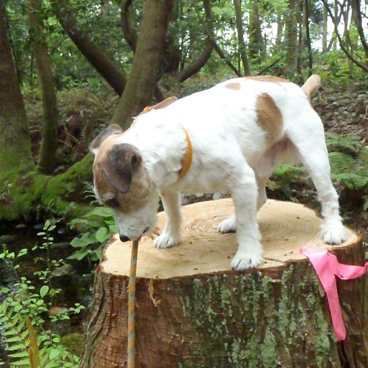 67be46f7 745e 434d b1a7 81c961a14c60 1525776090952