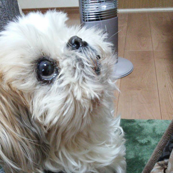 67be5c3d 58e5 4647 9d7e 6eac3e60d8cb 1516789772460