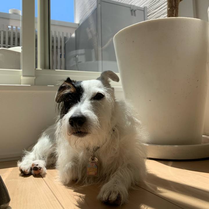 67be70b0 d617 45c6 97ed 58af828b08c6 1660877473980