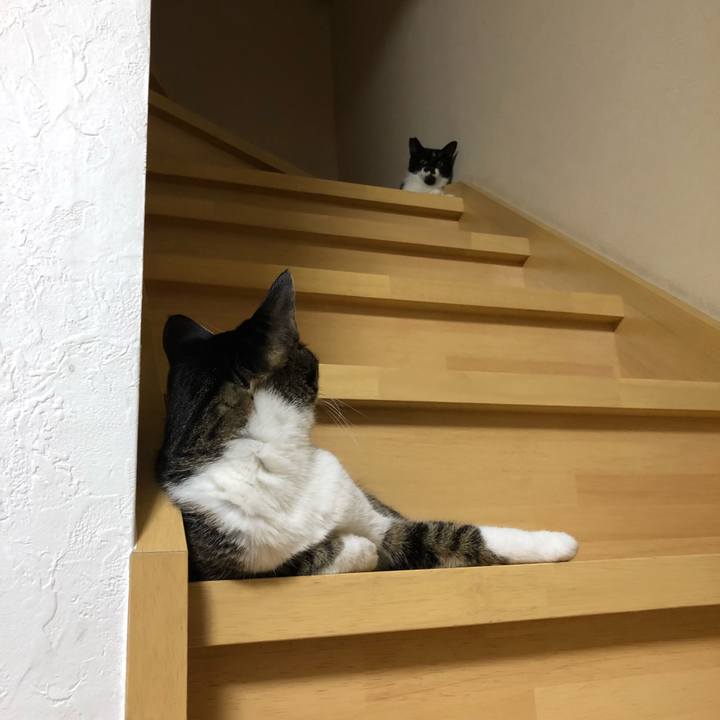 67be8dc7 1407 4d6c 9542 3f021ed012bb 1532062797187