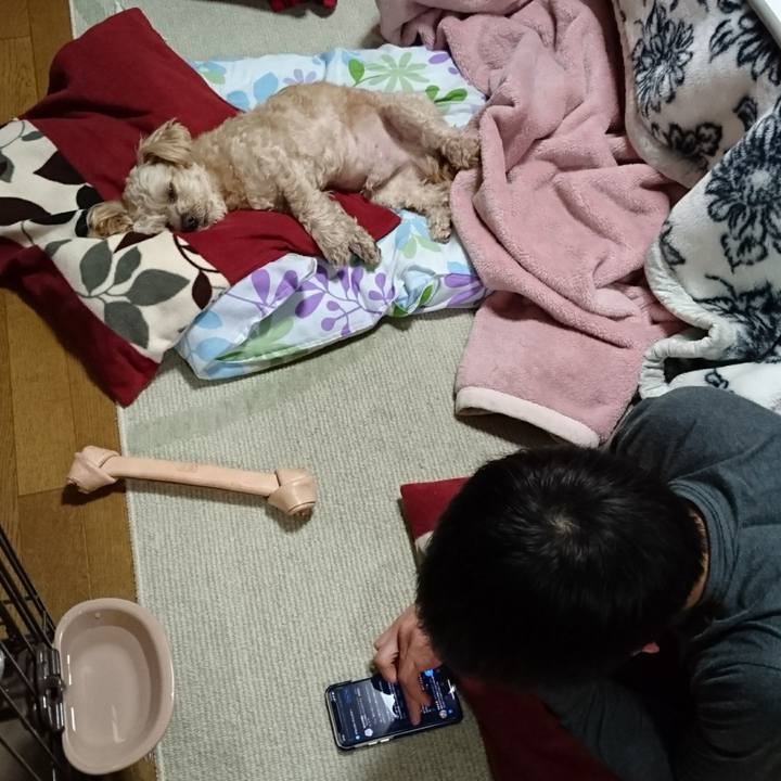 67beb2b3 8c30 40c9 9c6d 254818be3fd7 1583064870860