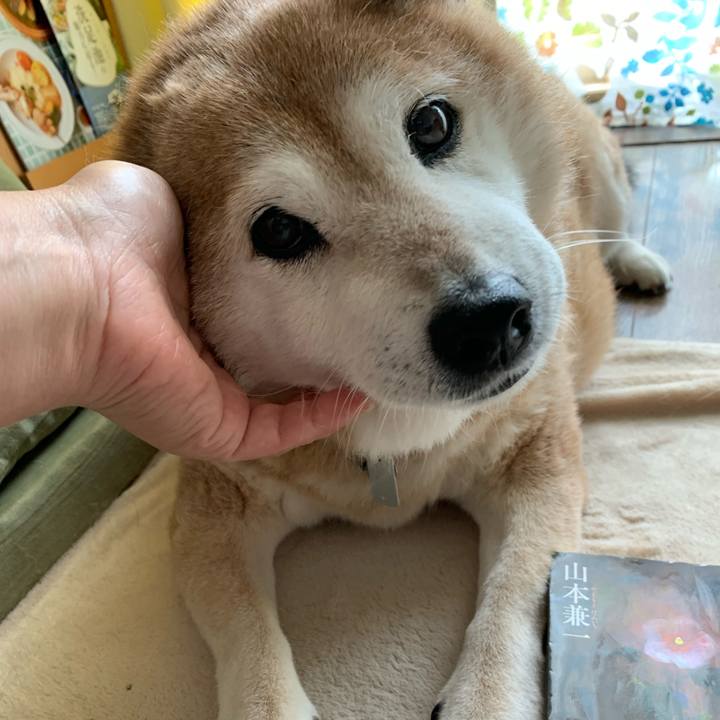 67bec39f 2fcf 42e7 9667 de220a1c235e 1568516578819